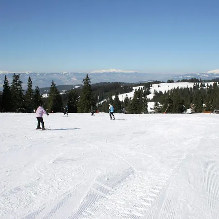 In Kaernten Mit Sauna Nahe Skipisten Weinebene