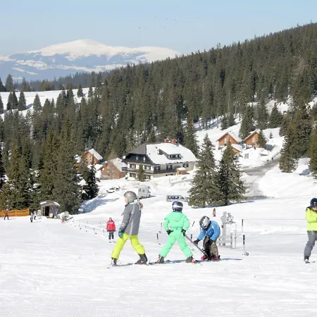 In Kaernten Mit Sauna Nahe Skipisten * Weinebene