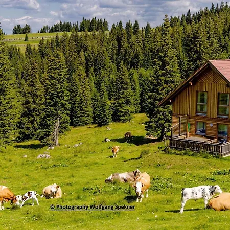 Ferienhaus Mountain Hut With Sauna On Weinebene
