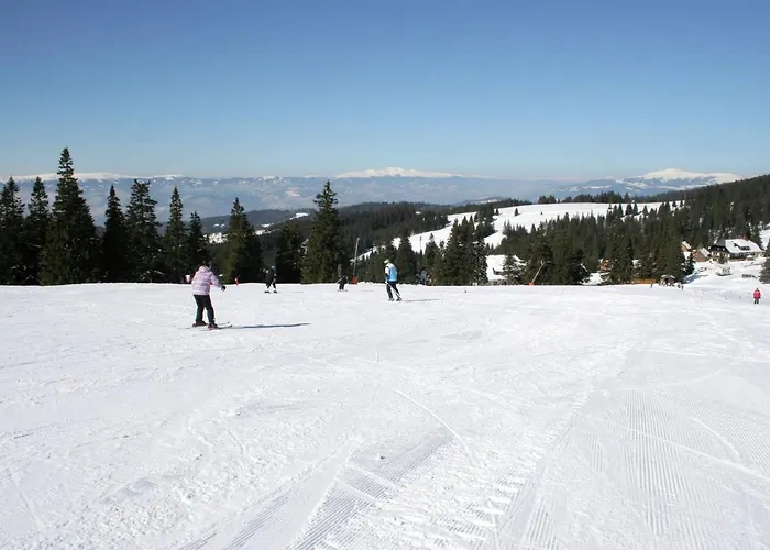 In Kaernten Mit Sauna Nahe Skipisten Weinebene