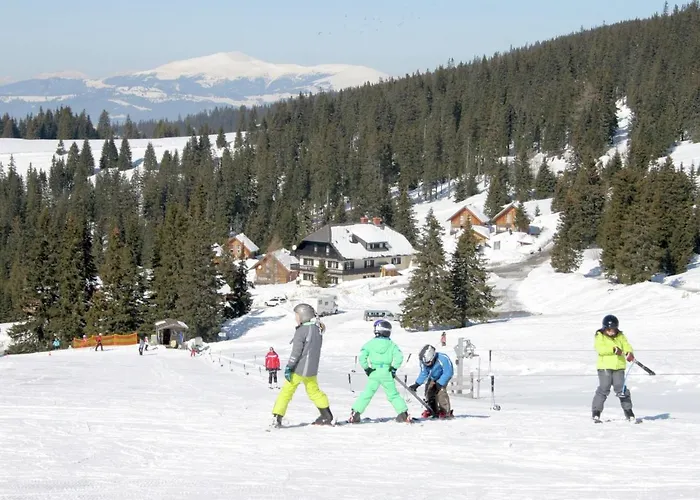 In Kaernten Mit Sauna Nahe Skipisten * Weinebene