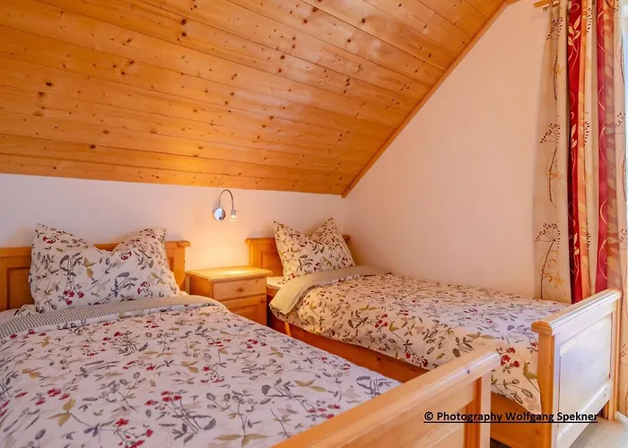 In Kaernten Mit Sauna Nahe Skipisten Weinebene